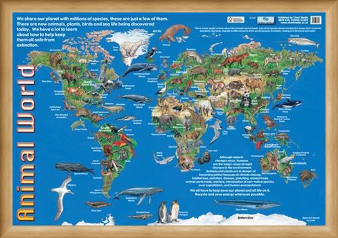 Framed Framed Animals of the World - Animal World Map